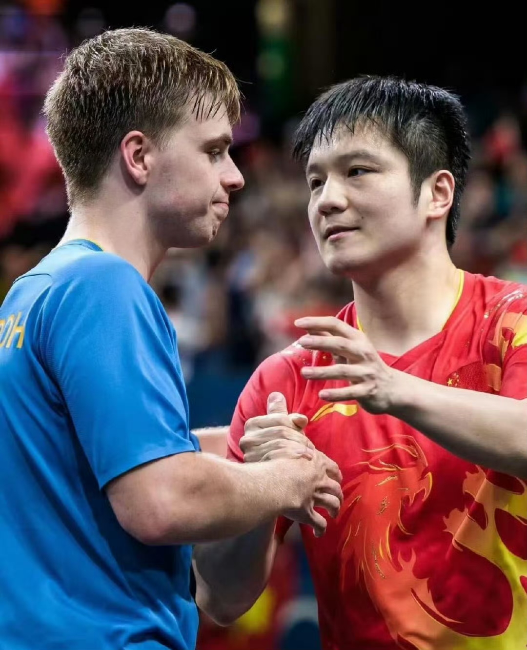 瑞典队险胜法国队,樊振东扛起全队的简单介绍 瑞典队险胜法国队,樊振东扛起全队的简单介绍