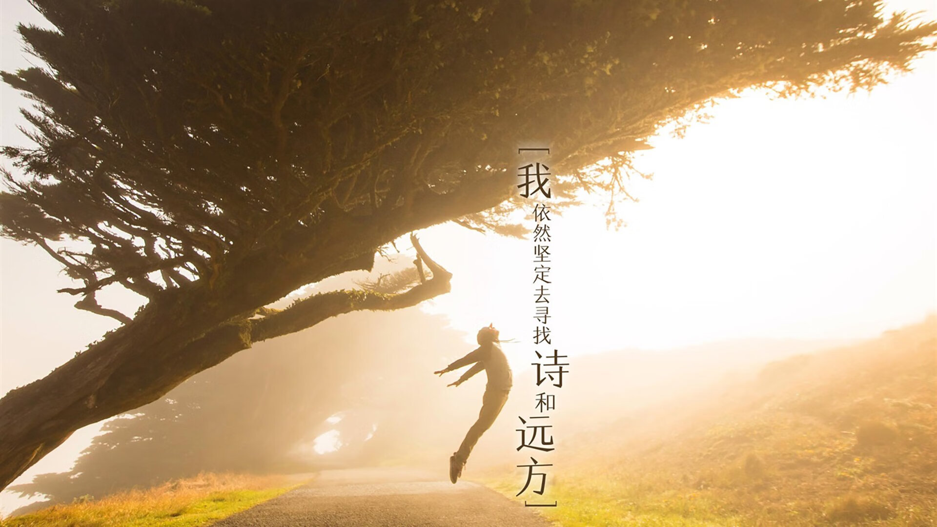 速度与高度，F1揭幕战之夜与戈贝尔的里程碑交响曲