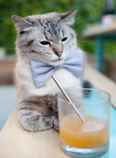 钢铁箭矢，当卡拉斯科在达喀尔的火焰中射落安哥拉的幽灵